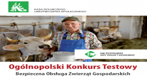 konkurs testowy