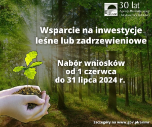 Pieniądze na inwestycje leśne lub zadrzewieniowe