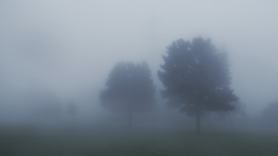 Gęsta mgła  (zdjęcie ilustracyjne)