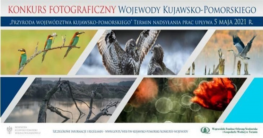 „Przyroda województwa kujawsko-pomorskiego”, to hasło tegorocznej edycji konkursu fotograficznego Wojewody Kujawsko-Pomorskiego. 