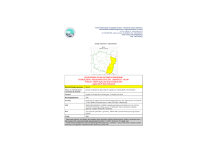OSTRZEŻENIA METEOROLOGICZNE ZBIORCZO NR 104