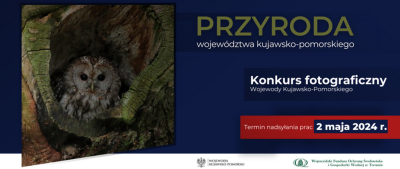 Przyroda województwa kujawsko-pomorskiego – konkurs fotograficzny Wojewody – edycja 2024