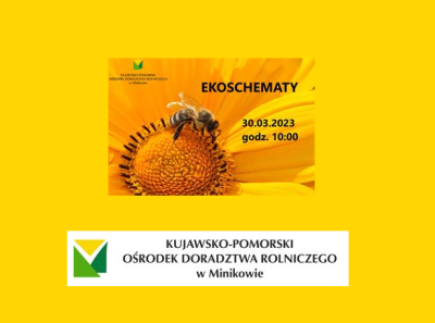 logo szkolenia - zdjęcie poglądowe
