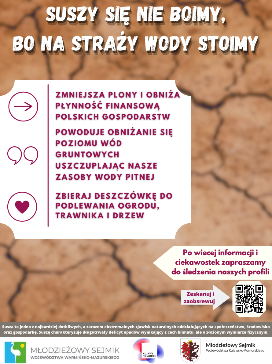 Młodzieżowy Sejmik Województwa Kujawsko-Pomorskiego -plakat