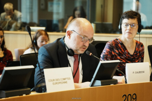 W Parlamencie Europejskim o przyszłości Wspólnej Polityki Rolnej