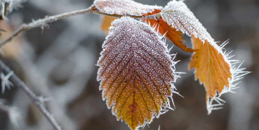 Ostrzeżenia meteorologiczne Przymrozki/1 i...